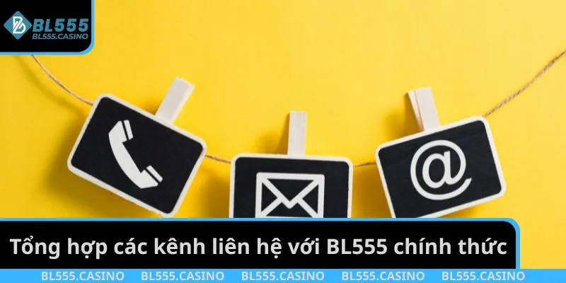 Tổng hợp các kênh liên hệ với BL555 chính thức