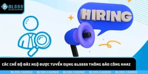 tuyển dụng BL555